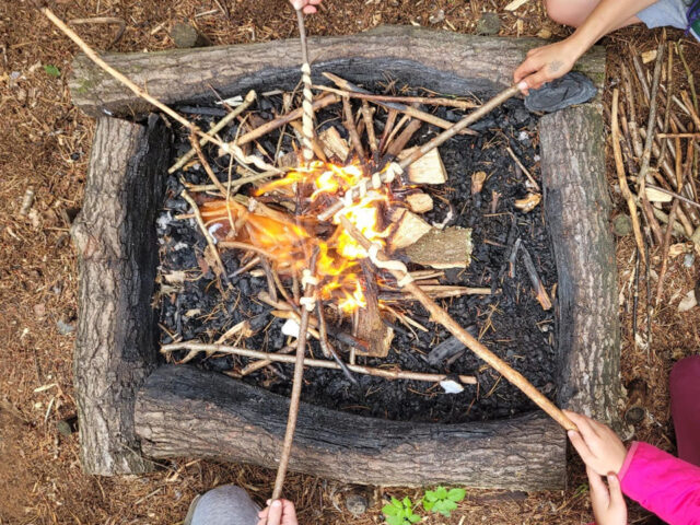 Roasting marshmallows around a campfire
